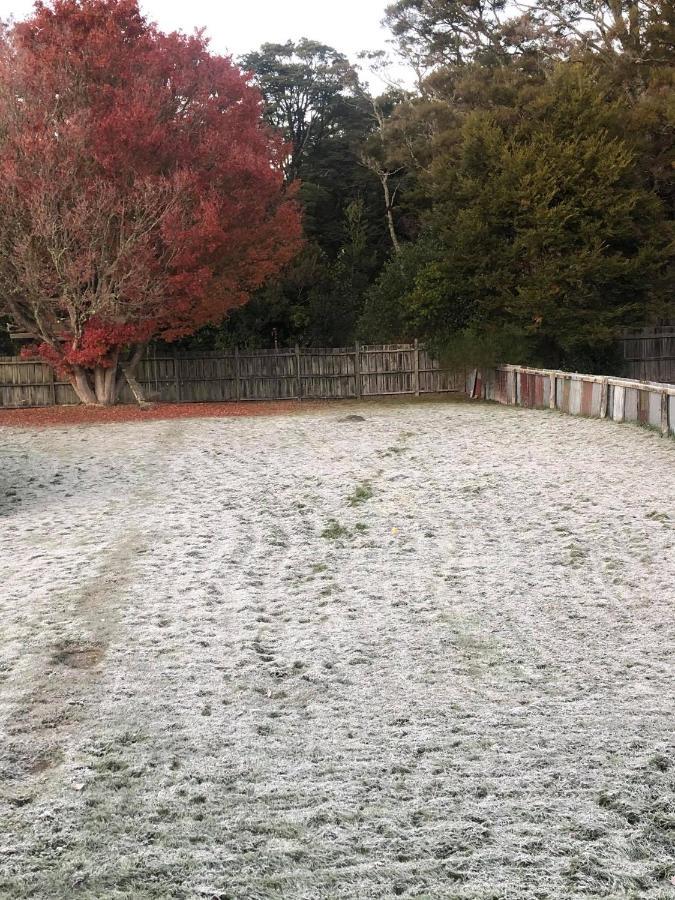 Moore St Cottage Ohakune Exterior photo